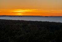 Kazimierz+noc%C4%85+4.jpg