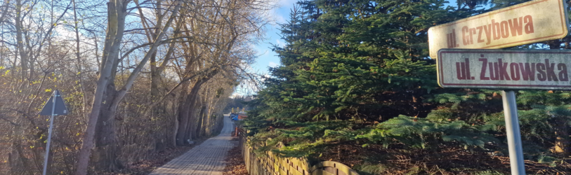 Grzybowa+2.png