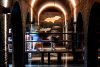GIWK_230824_ma%C5%82e-45.jpg