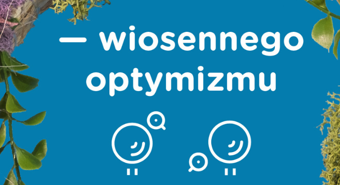 Bez+tytu%C5%82u+(684%C3%97372+px)+(1).png